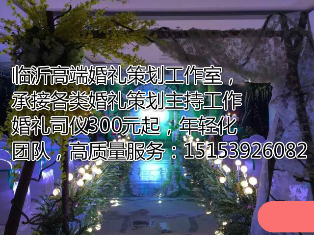 臨沂婚禮專家婚慶團隊的圖標