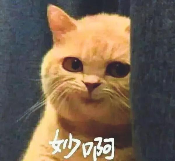 2020網(wǎng)絡流行語來了！