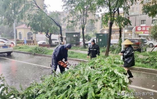 臨沂一場暴雨下了20億方水