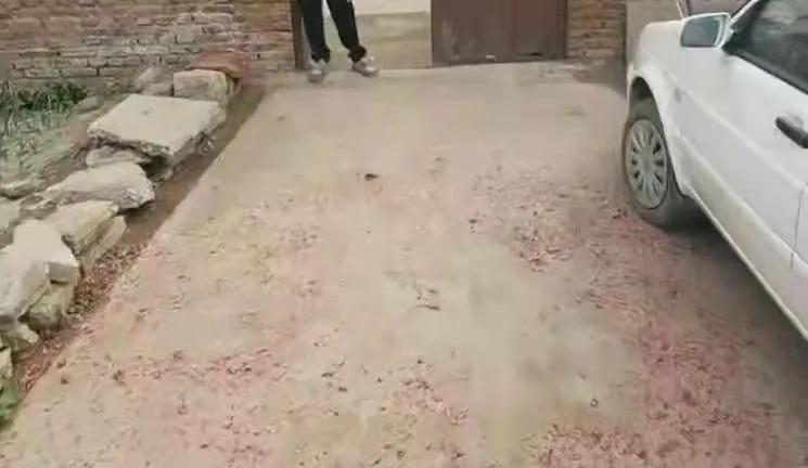 查處現(xiàn)場直擊，臨沂又有一批人被曝光！