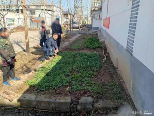 非法種植罌粟當(dāng)佐料 臨沂河?xùn)|一男子已被刑拘