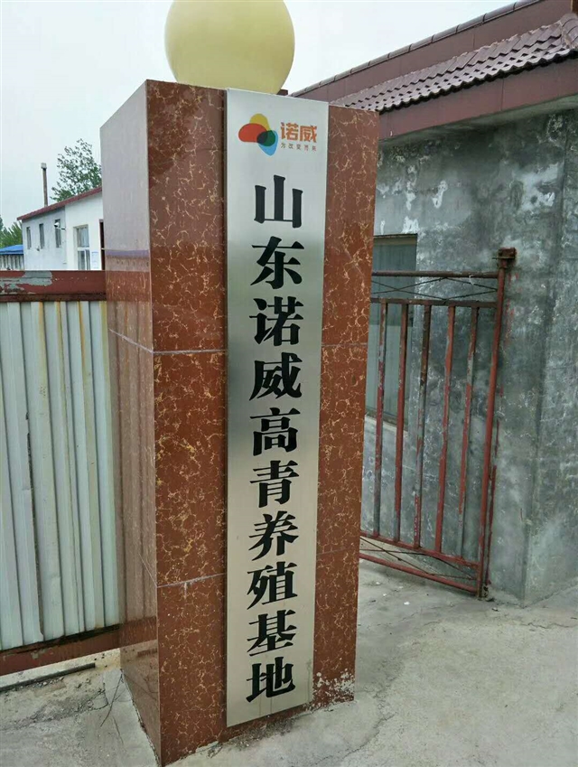 提供山東省內(nèi)非洲豬瘟檢測的圖標(biāo)