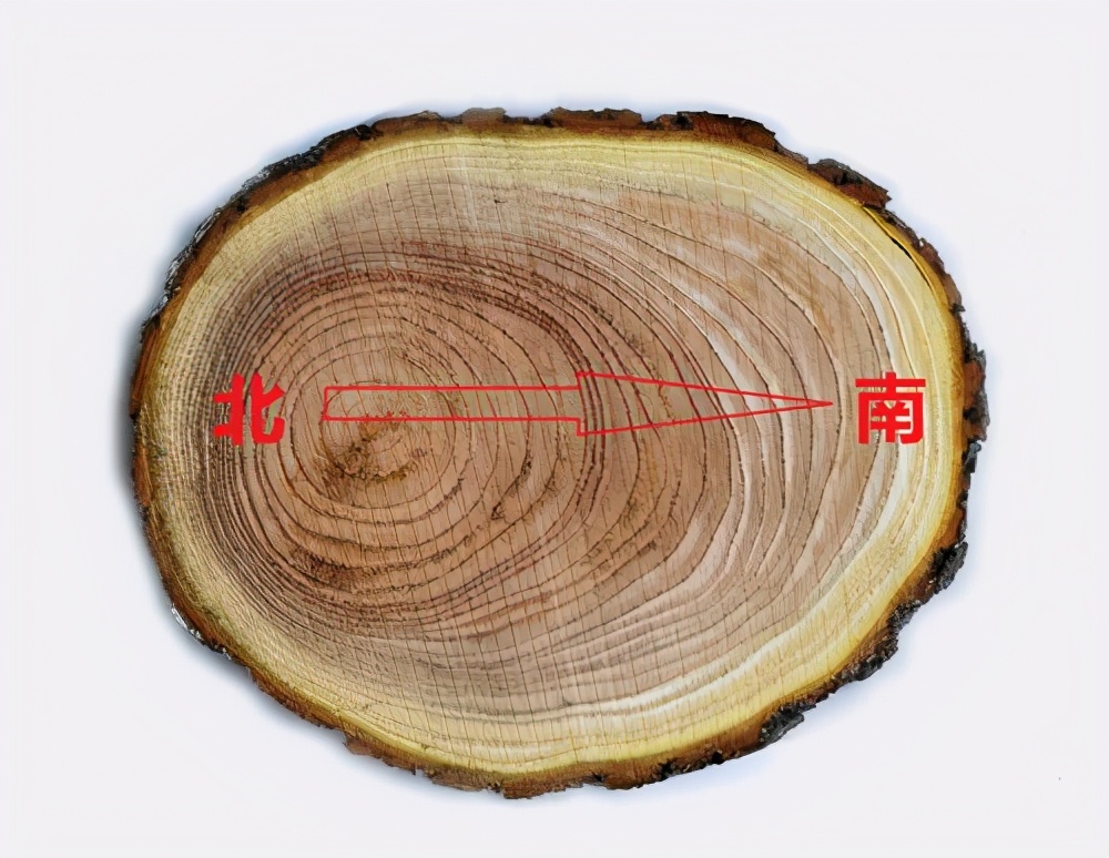 生活中的那些你不知道的小常識(一)