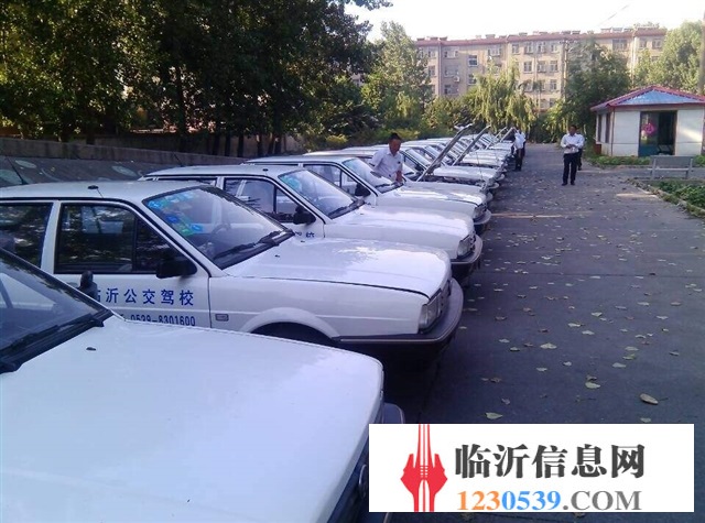 學車拿證就打這個電話：18953978729