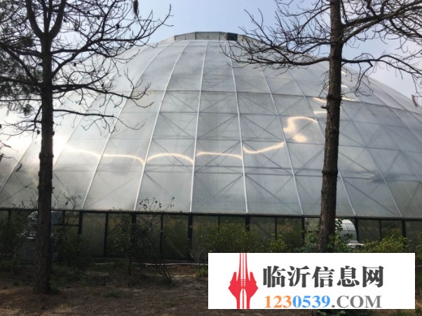 溫室大棚造價(jià) 經(jīng)久耐用 廠家直銷 智博農(nóng)業(yè)科技